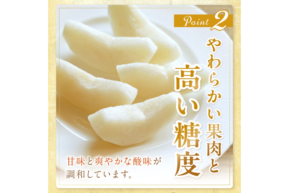 【先行予約／数量限定150】京丹後産 新興梨 5kg（8～14玉入り）（2026年10月中旬～発送）