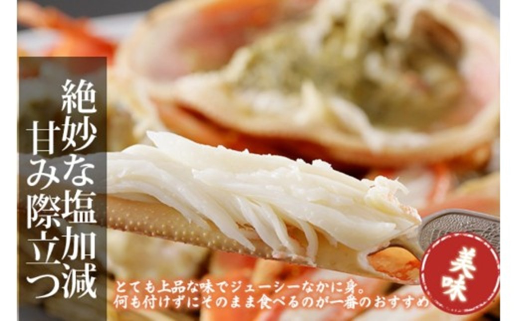 【訳あり！指落ち松葉がに】山陰沖ゆで松葉がに 700ｇ〜800ｇ 中大サイズ（12月発送）／北畿水産