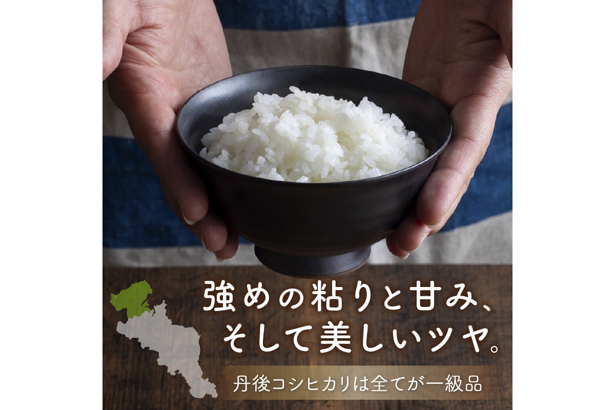 旬の野菜 5～8種詰め合わせと京都・京丹後産コシヒカリ2kgセット 国産 新鮮 お試し おまかせ お楽しみ　京野菜　朝採れ 季節の野菜 食品 お取り寄せ　お米 ごはん ご飯 こしひかり おにぎり 白米 ふるさと納税 米