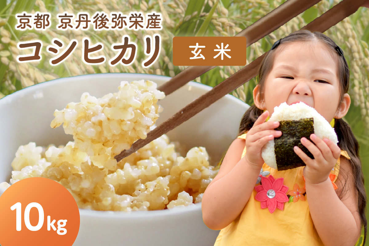 【先行予約】丹後弥栄産コシヒカリ（玄米10kg） コシヒカリ 玄米 おこめ おにぎり 京都産 お米 ふるさと納税 こしひかり