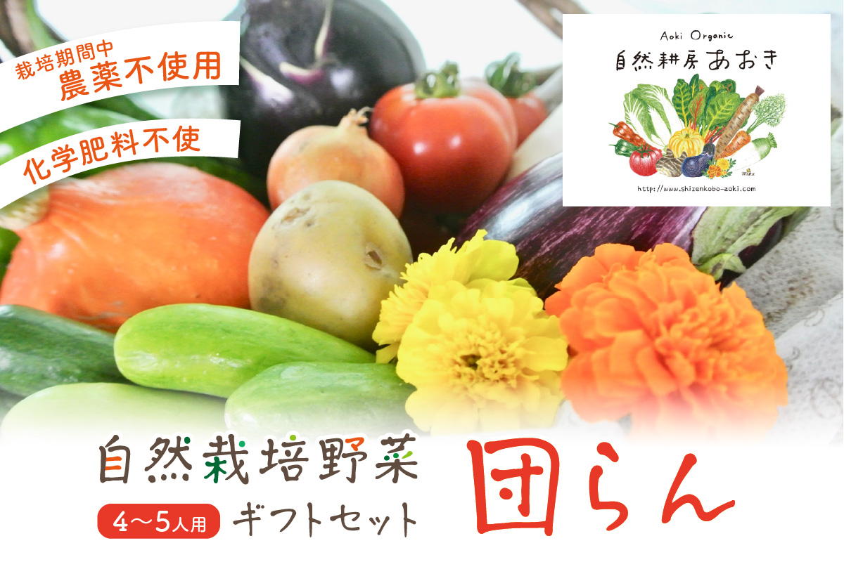 【数量限定】自然栽培野菜セット（団らん）