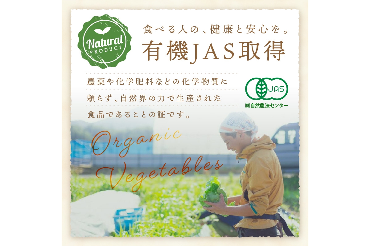 ＜てんとうむしばたけ＞オーガニック野菜セット　有機野菜6～7種(2人用)