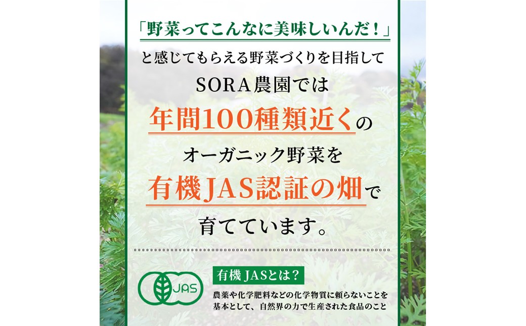 【先行予約11月下旬～順次発送】SORA農園の有機にんじん5kg　有機野菜 有機農園 オーガニックファーム オーガニック野菜 有機栽培 人参 にんじん ニンジン キャロット 冬野菜