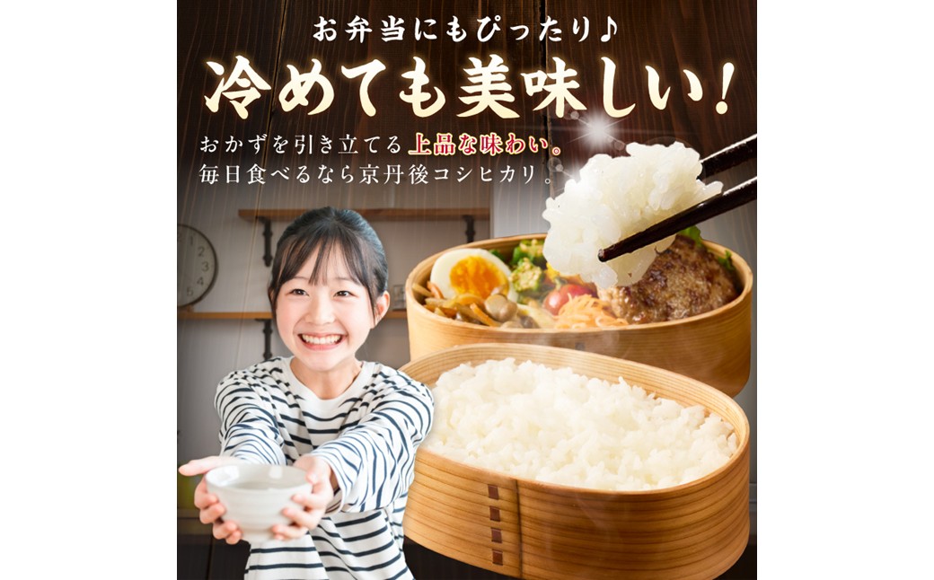 直売所直送「令和8年産　京丹後市産　コシヒカリ」　無洗米5kg ふるさと納税 米 特A 検査1等米 国産 こめ ごはん 京都産 コシヒカリ 農家応援 生産者応援 送料無料
