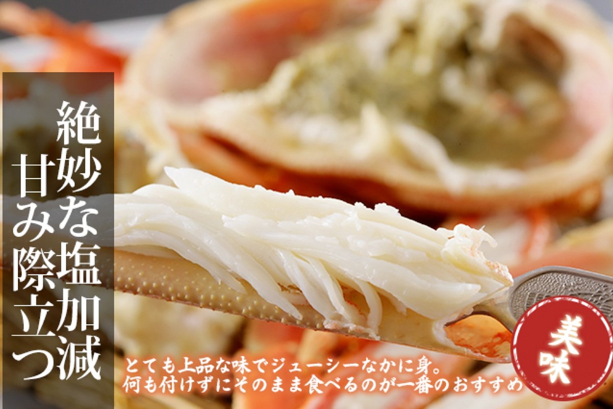 【訳あり！指落ち松葉がに】山陰沖ゆで松葉がに 900ｇ〜1ｋｇ 特大サイズ（12月発送）／北畿水産