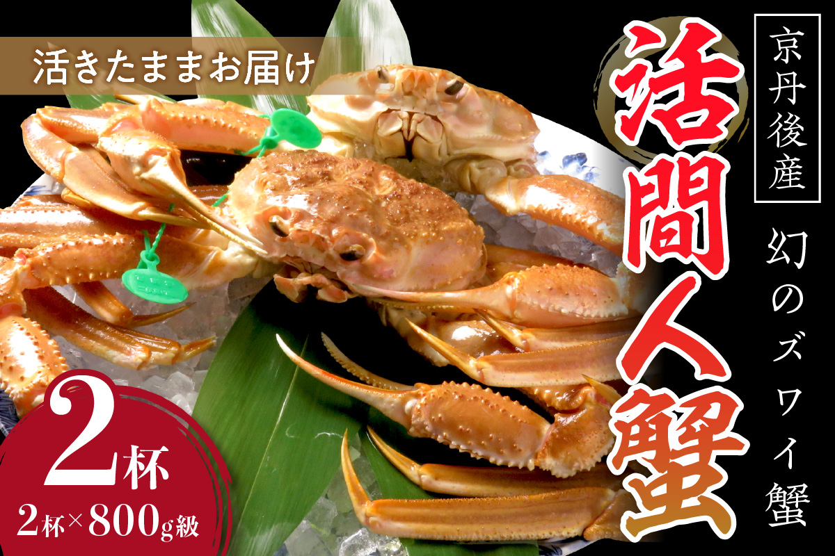 【幻のズワイ蟹】京丹後産 活間人蟹 鮮度抜群、活きたままお届け！！ 800g級×2杯