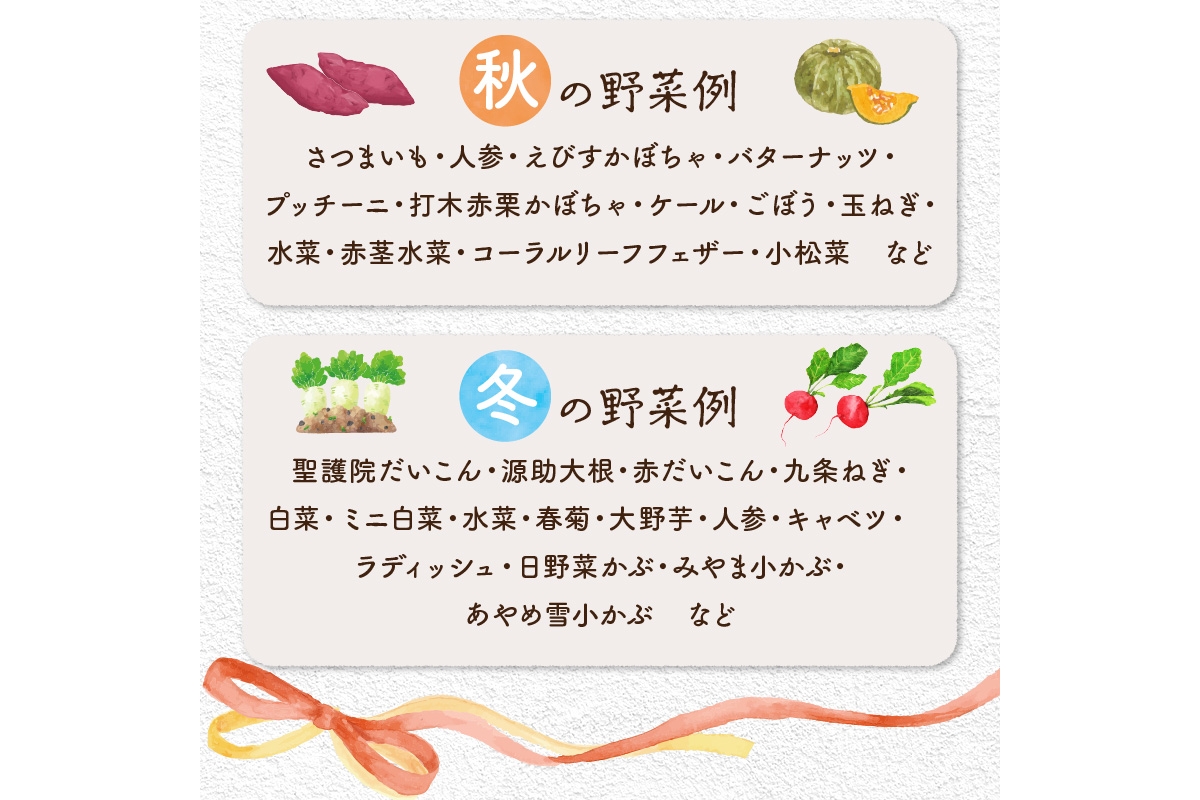 【数量限定】自然栽培野菜セット（団らん）