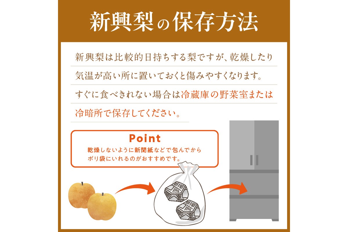 【先行予約／数量限定150】京丹後産 新興梨 5kg（8～14玉入り）（2026年10月中旬～発送）
