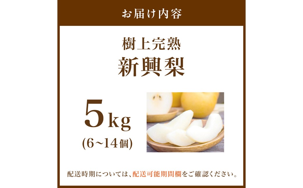 【先行予約】樹上完熟 新興梨 5kg（6～14個）（2026年10月下旬～発送）果物 フルーツ 梨 5kg 先行予約 完熟 京都 ふるさと納税 新興梨