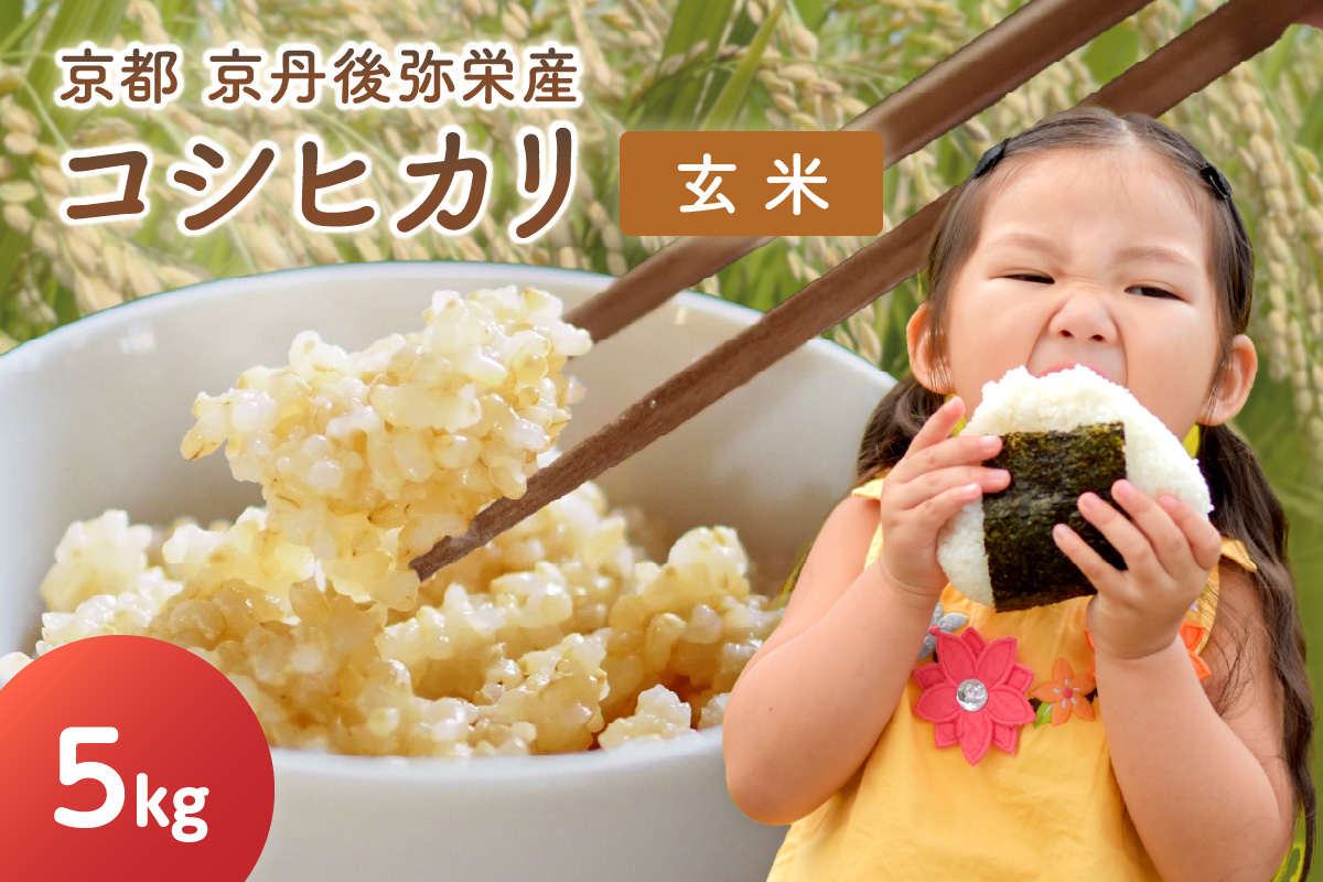 【先行予約】丹後弥栄産コシヒカリ（玄米5kg）コシヒカリ 玄米 おこめ おにぎり 京都産 お米 ふるさと納税 こしひかり