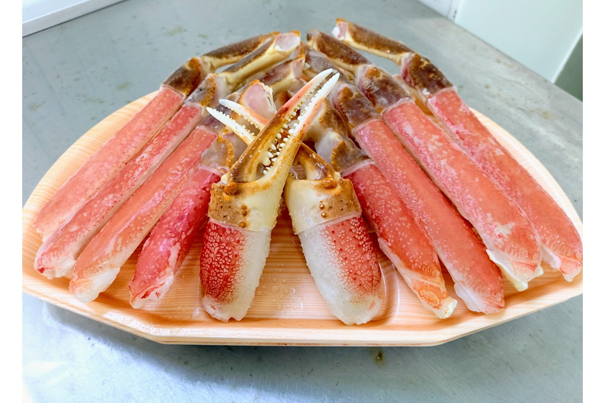 ボリューム満点！プロの目利きが選んだズワイガニ超特大サイズ５Ｌポーション／北畿水産 海産物 甲殻類 かに ずわいがに 海の幸 海鮮 冷凍 殻なし 殻むき ふるさと納税 蟹 ふるさと納税 カニ ポーション 特大 送料無料
