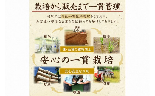 京都・丹後コシヒカリ 無洗米 3kg 米 お米 コシヒカリ ふるさと納税 無洗米 ふるさと納税 米 ふるさと納税 お米 ふるさと納税 コシヒカリ 農家応援 生産者応援 送料無料