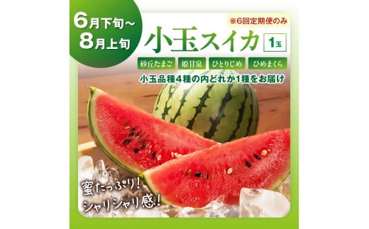 【先行予約／フルーツ定期便6回】旬の果物厳選！京丹後フルーツ王国満足セット（完熟イチゴ・小玉スイカ・桃・メロン・完熟ブドウ＆シャインマスカット食べ比べ・二十世紀梨）（2027年2月中旬～発送）