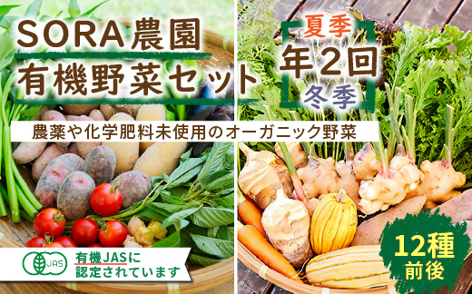 SORA農園有機野菜セット年2回（夏季・冬季）お届け 12種類前後 オーガニック野菜 詰め合わせ 栽培期間中農薬不使用 ふるさと納税 オーガニック ふるさと納税 有機野菜