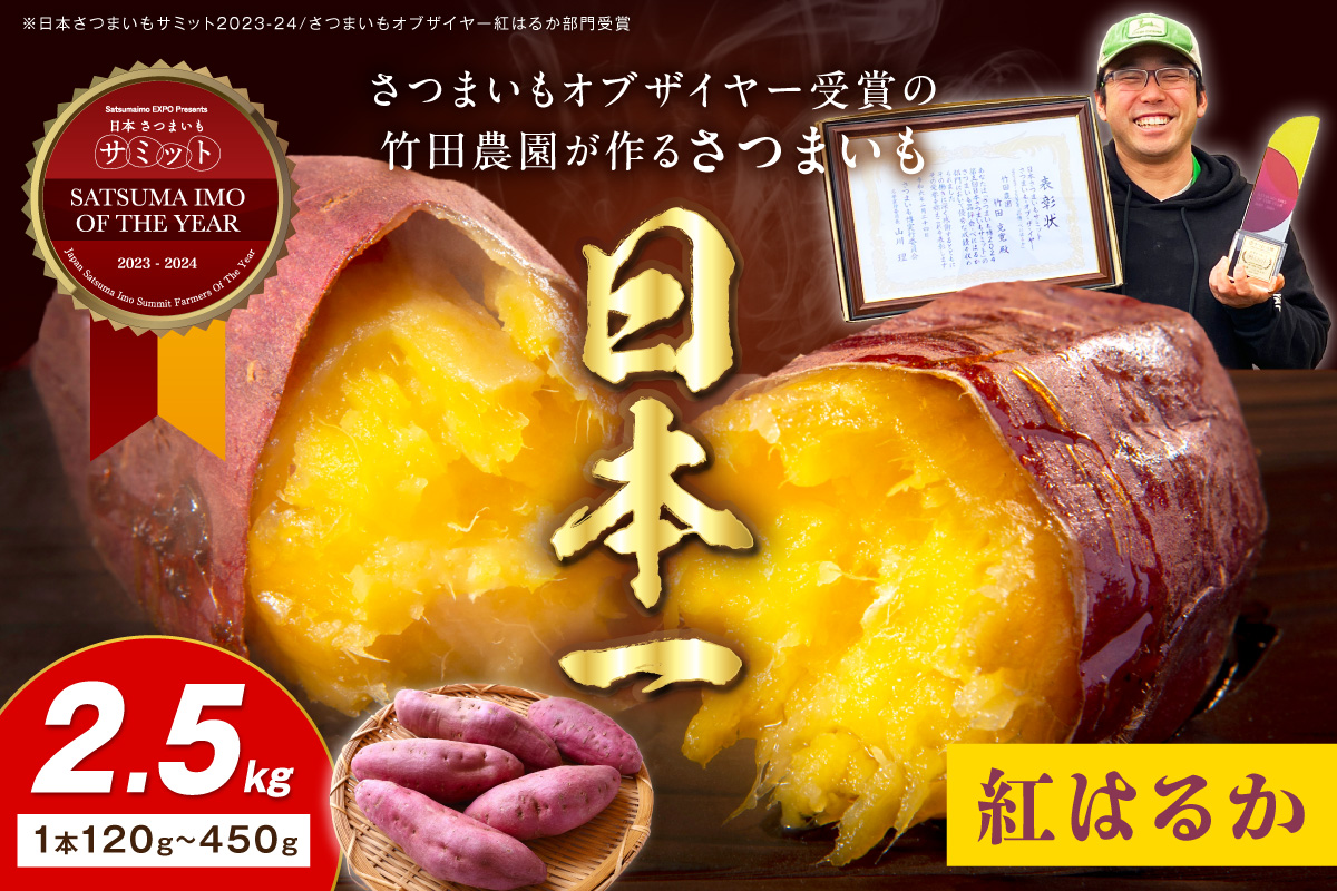 【先行予約】さつまいもオブザイヤー紅はるか部門全国1位 京都・ 丹後産　さつまいも 紅はるか　土付き（1本120〜450g程度）2.5kg
