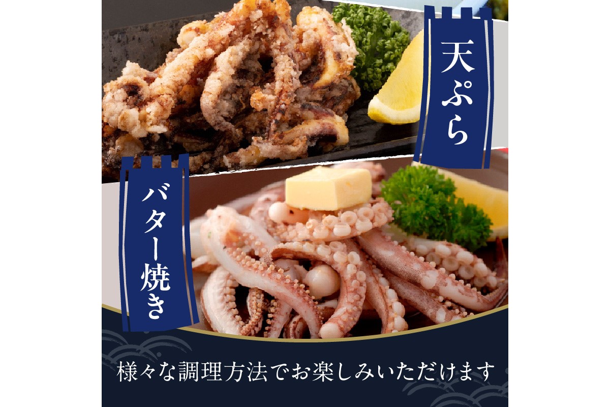 日本海産『海の京都』の逸品！！　活白イカ姿造り（クリスタル白いか）中サイズ 1杯（200g前後）（2027年6月上旬～発送） ふるさと納税 海鮮 鮮度抜群 新鮮 海鮮 いか イカ 簡単調理 生産者応援 送料無料 生食 魚介類 活イカ
