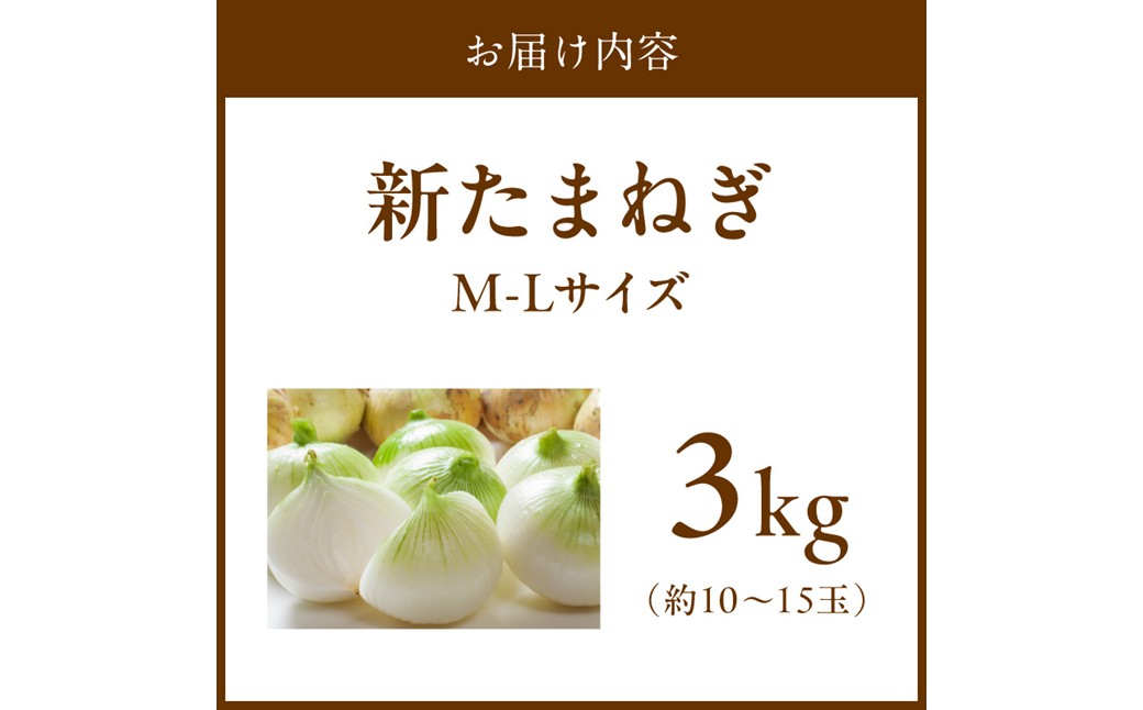 【訳あり】新たまねぎ 3kg