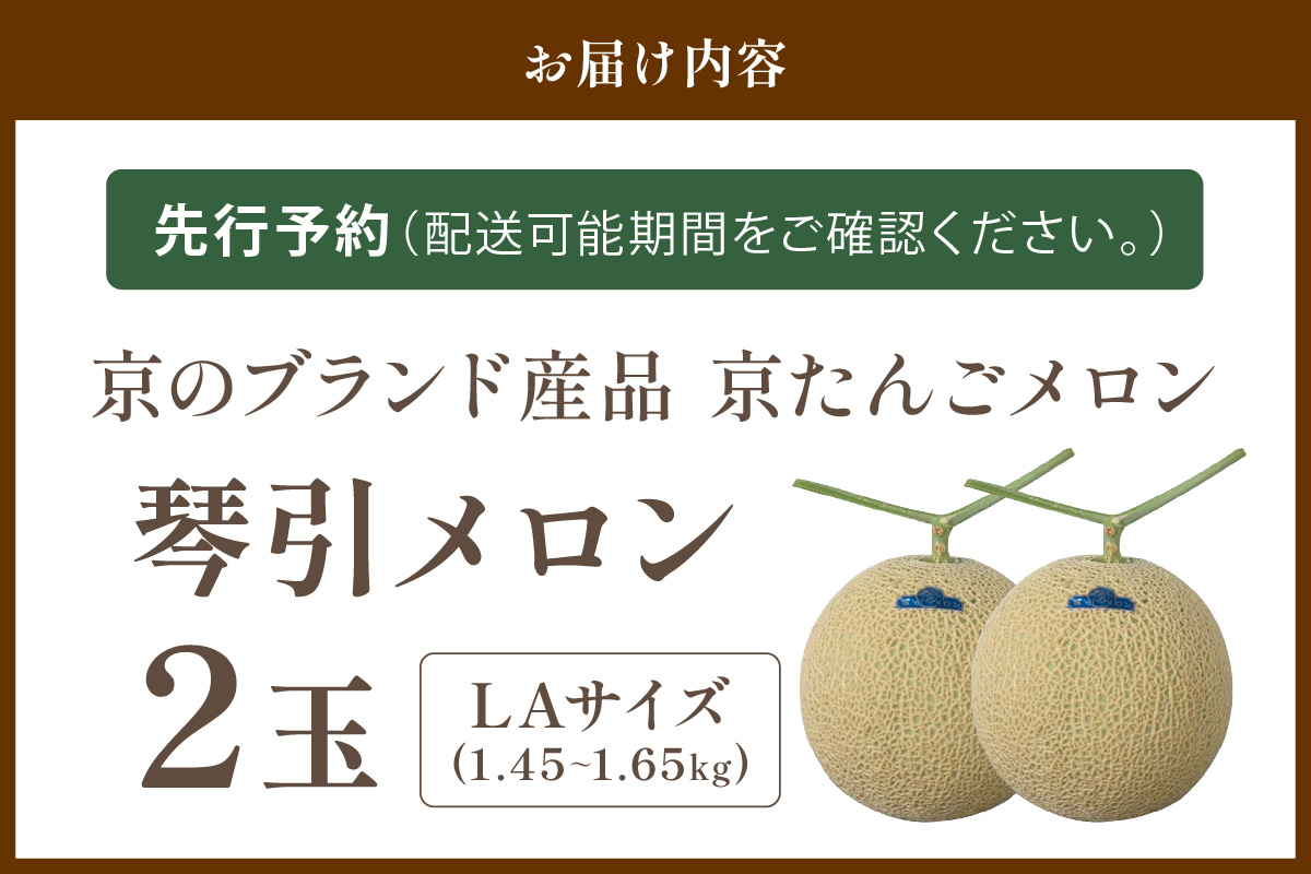 【数量限定500】京のブランド産品 京たんごメロン 琴引メロン LAサイズ 2玉（2026年6月下旬～発送） 国産 甘い 高糖度 高級 期間限定 ふるさと納税 メロン ふるさと納税 フルーツ ギフト