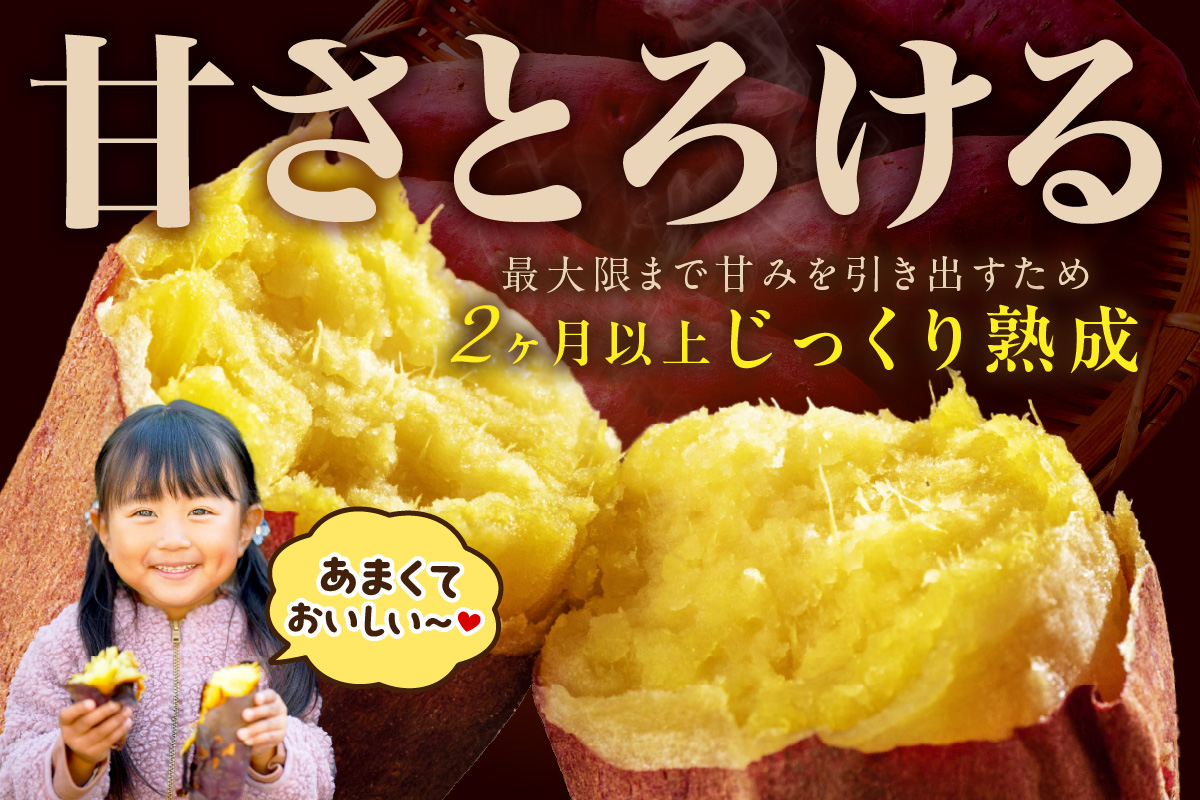 【先行予約】さつまいもオブザイヤー紅はるか部門全国1位 京都・ 丹後産　さつまいも 紅はるか　土付き（1本120〜450g程度）10kg