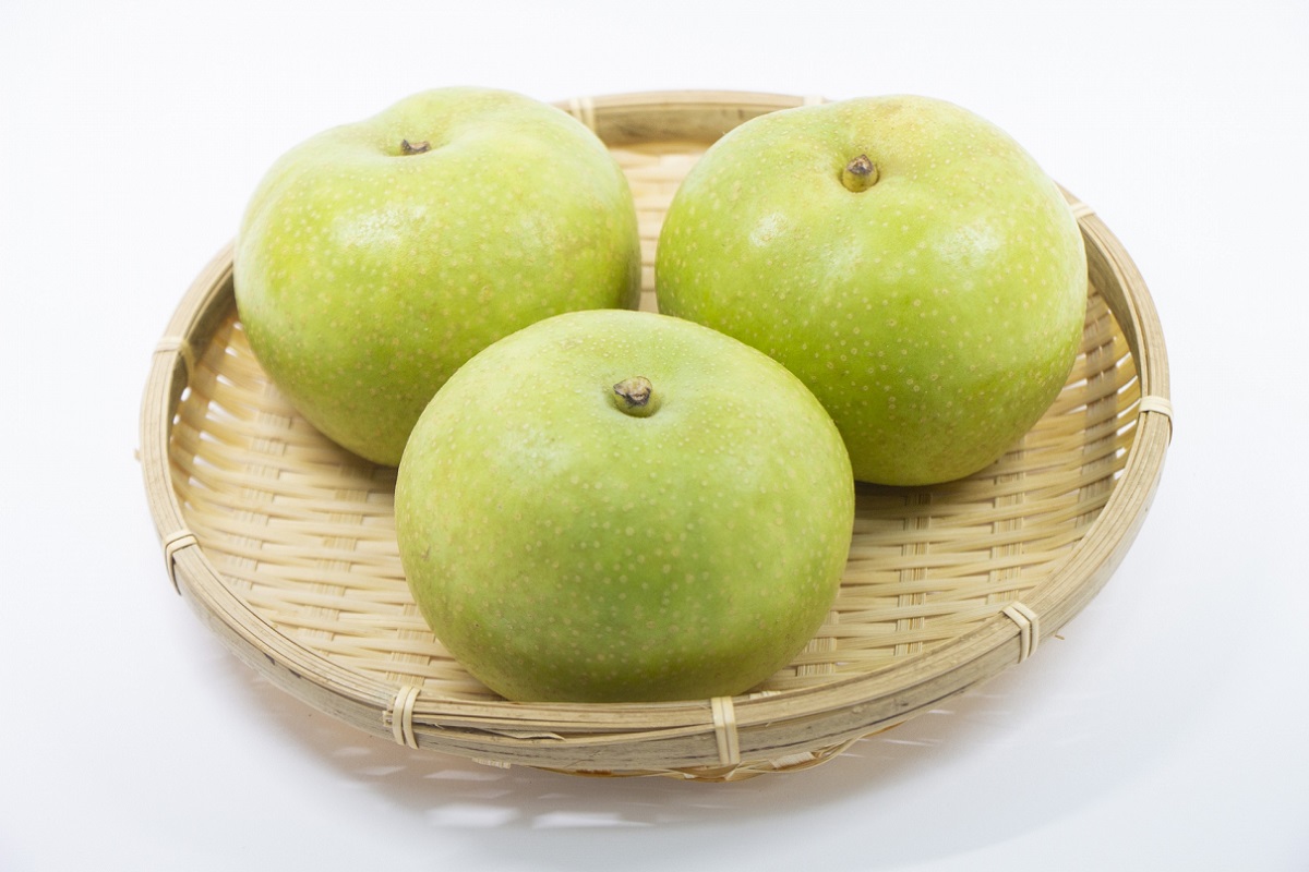 【数量限定】京都丹後産 二十世紀梨 5kg（2026年9月上旬～発送） ふるさと 納税 梨 なし ナシ 5kg ふるさと 納税 期間限定 ふるさと 納税 20世紀 送料無料