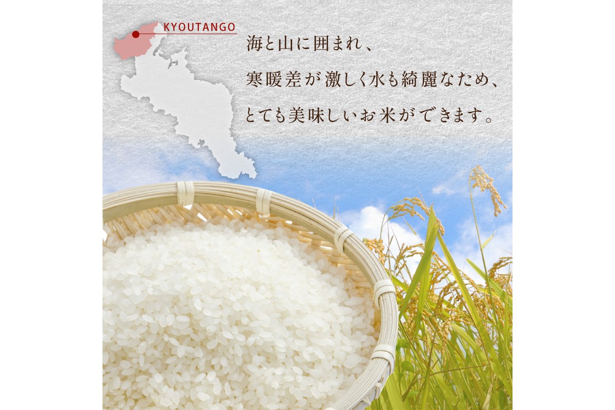【3ヶ月定期便】2026年産 京都・京丹後峰山 特別栽培米コシヒカリ 5kg 【白米】 1等米 検査済証付　お米 精米 お弁当 おにぎり 京都府産 白米 特別栽培 一等米 ふるさと納税 米 定期便 生産者応援 農家応援
