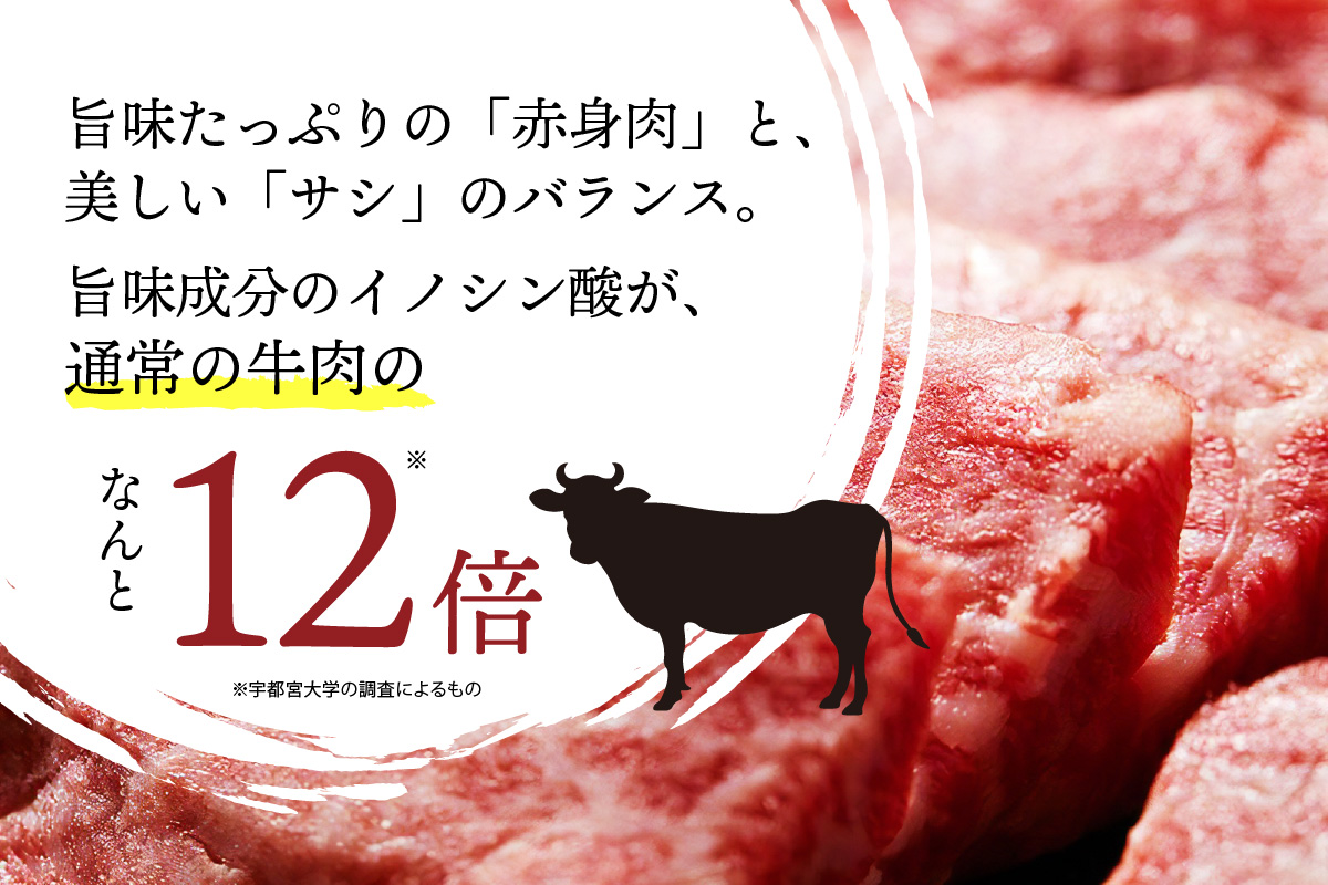 京たんくろ和牛の焼肉 京丹後市 500ｇ（2〜3人前）