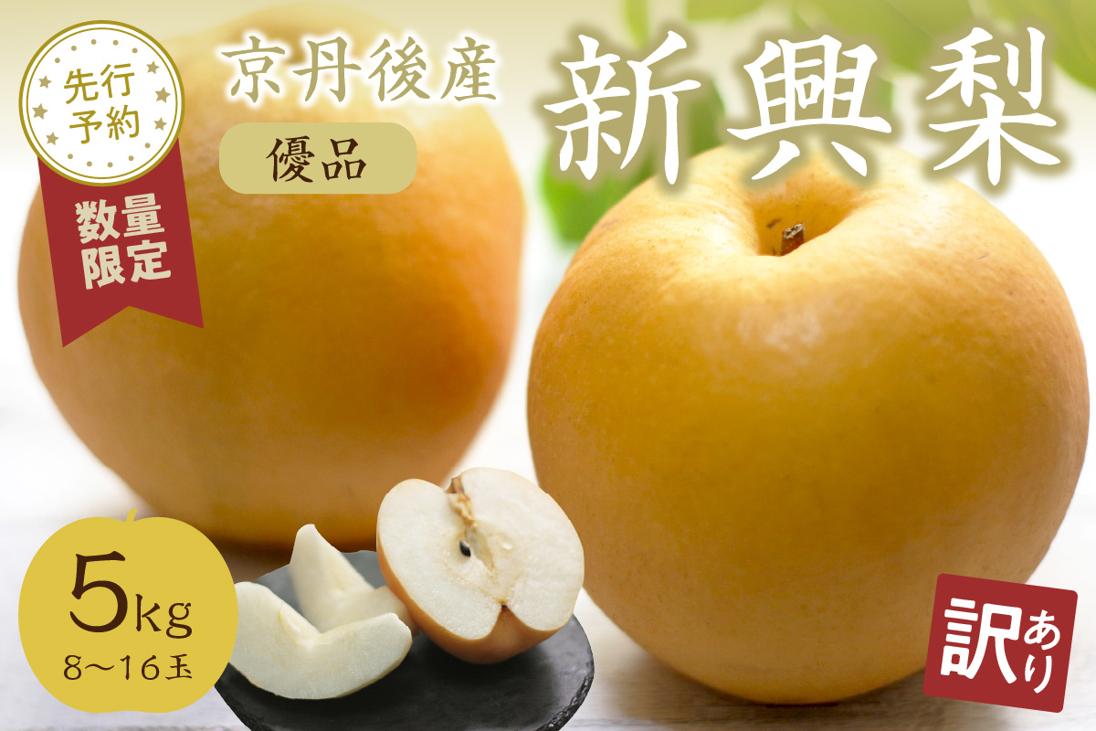 【先行予約／数量限定100】【訳あり】新興梨 優品 5kg（8～16玉入り）（2026年10月上旬～発送）
