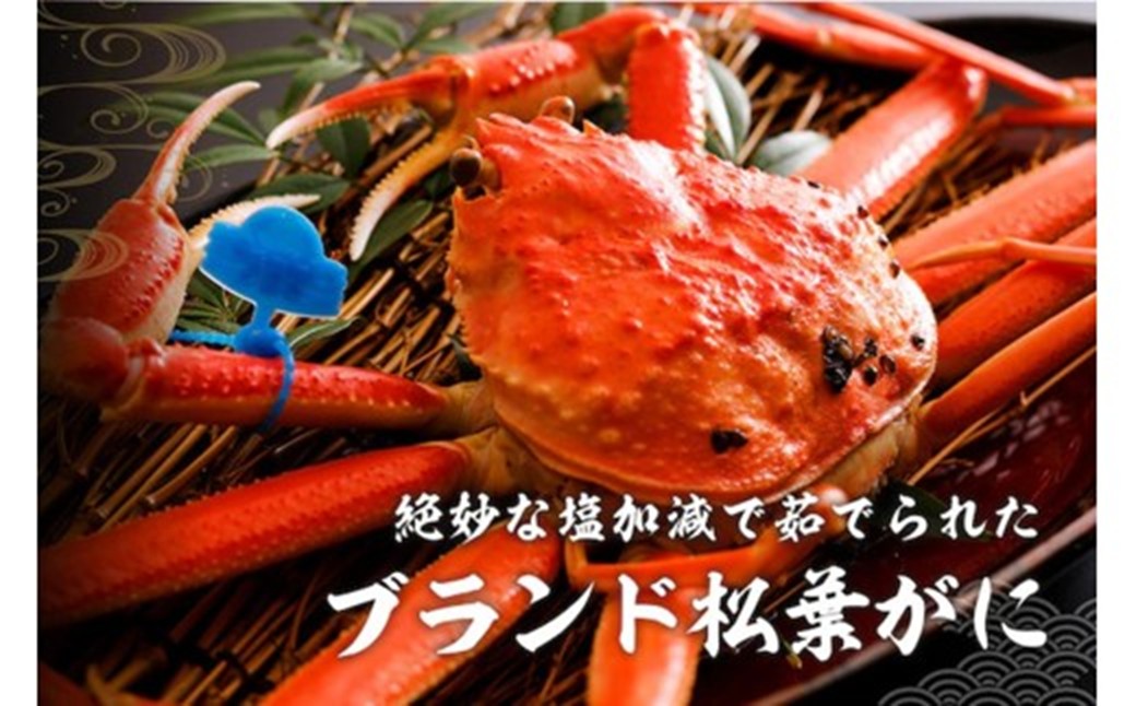【訳あり！指落ち松葉がに】山陰沖ゆで松葉がに 700ｇ〜800ｇ 中大サイズ（12月発送）／北畿水産