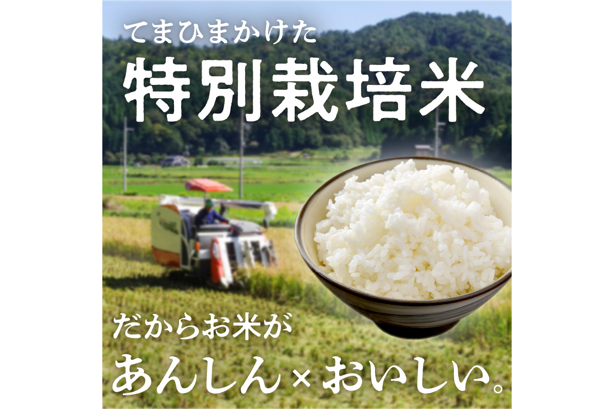 令和8年産 特別栽培米コシヒカリ 丹後椿（京丹後森本産） 2kg
