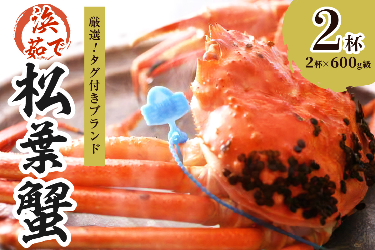 【厳選！！タグ付きブランド】茹で松葉かに 鮮度抜群、釜茹でにてお届け！！ 600g級×2杯 国産 海産物 甲殻類 かに ずわいがに 松葉かに 茹で ボイル 京都 京丹後 海鮮 ふるさと納税 かに まつばがに 松葉ガニ 海祥 送料無料