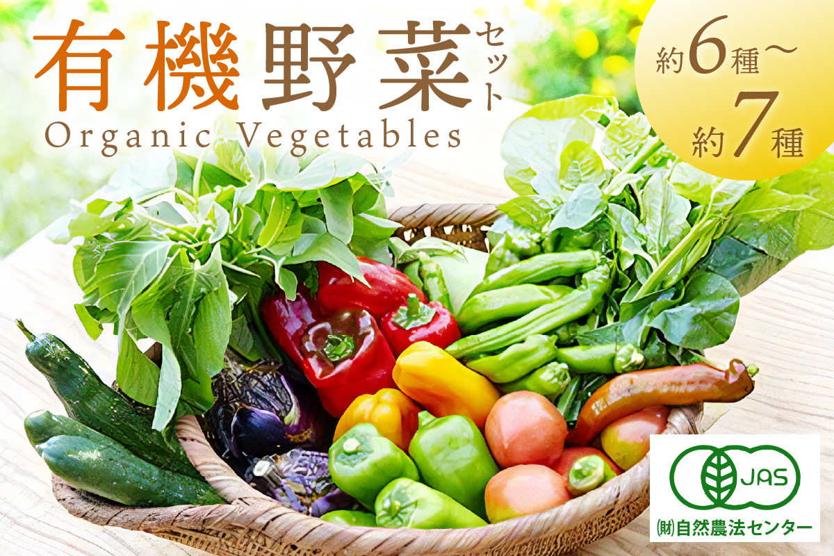 ＜てんとうむしばたけ＞オーガニック野菜セット　有機野菜6～7種(2人用)