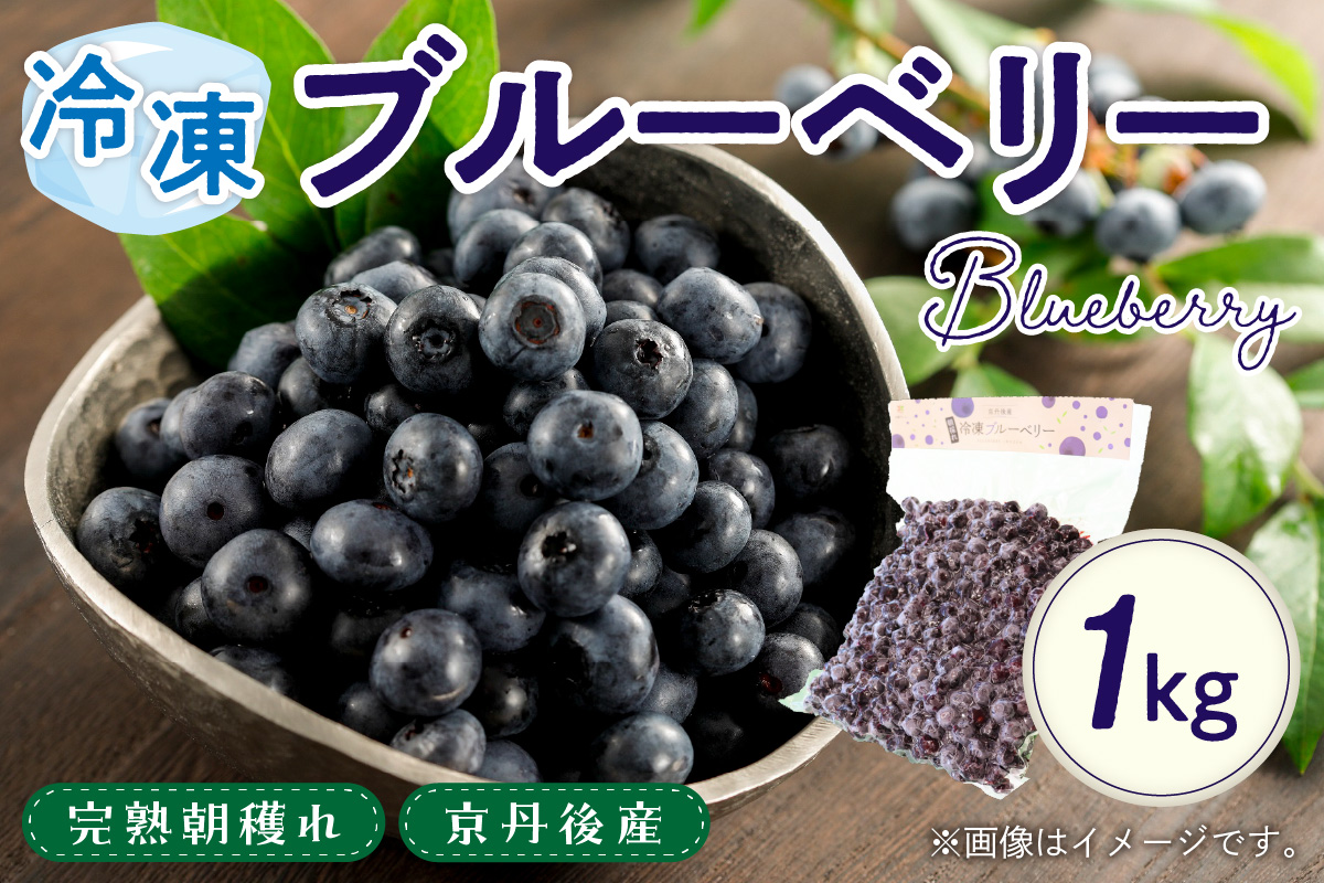 美味しさそのまま摘みたてをハイブリッド冷凍　京丹後産冷凍ブルーベリー1kg/北畿水産