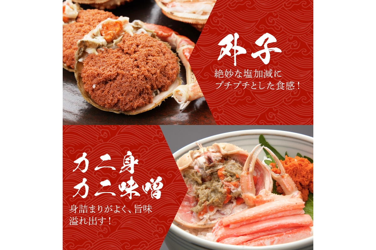 【期間エリア限定！】厳選！絶品！ 急速冷凍 釜茹で セイコ蟹3杯 かに カニ せいこ蟹 セイコ蟹 せこがに せこ蟹 京都 丹後 香箱がに 香箱ガニ こっぺがに コッペガニ 海祥