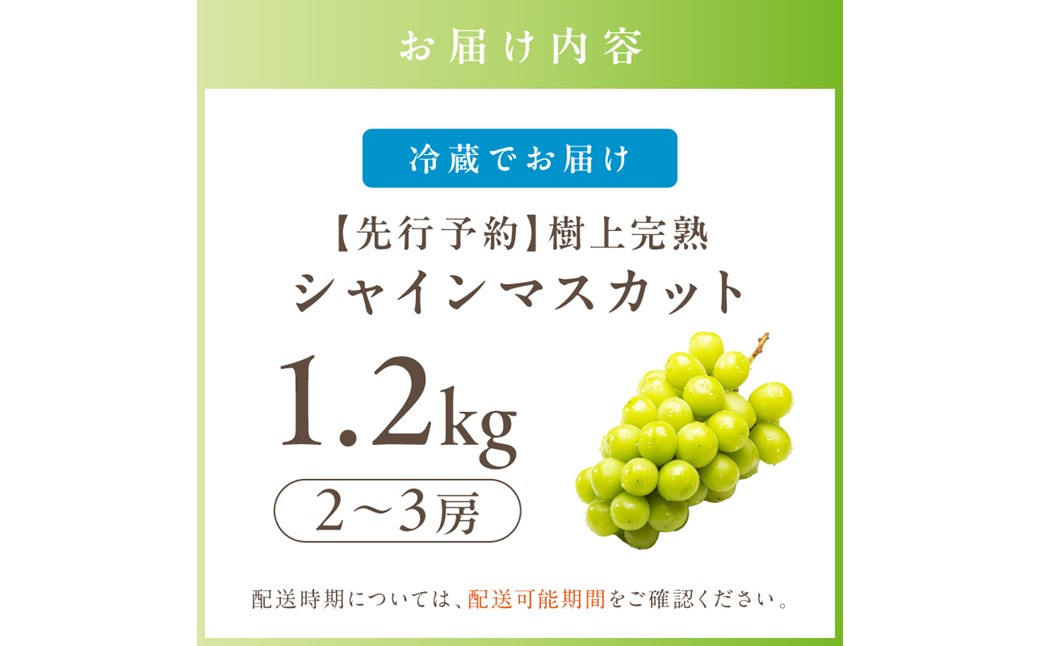 【先行予約】樹上完熟 シャインマスカット 1.2kg（2～3房）（2026年9月中旬～発送） ふるさと納税 シャインマスカット しゃいんますかっと 葡萄 ブドウ ふるーつ 甘い あまい ギフト お取り寄せ