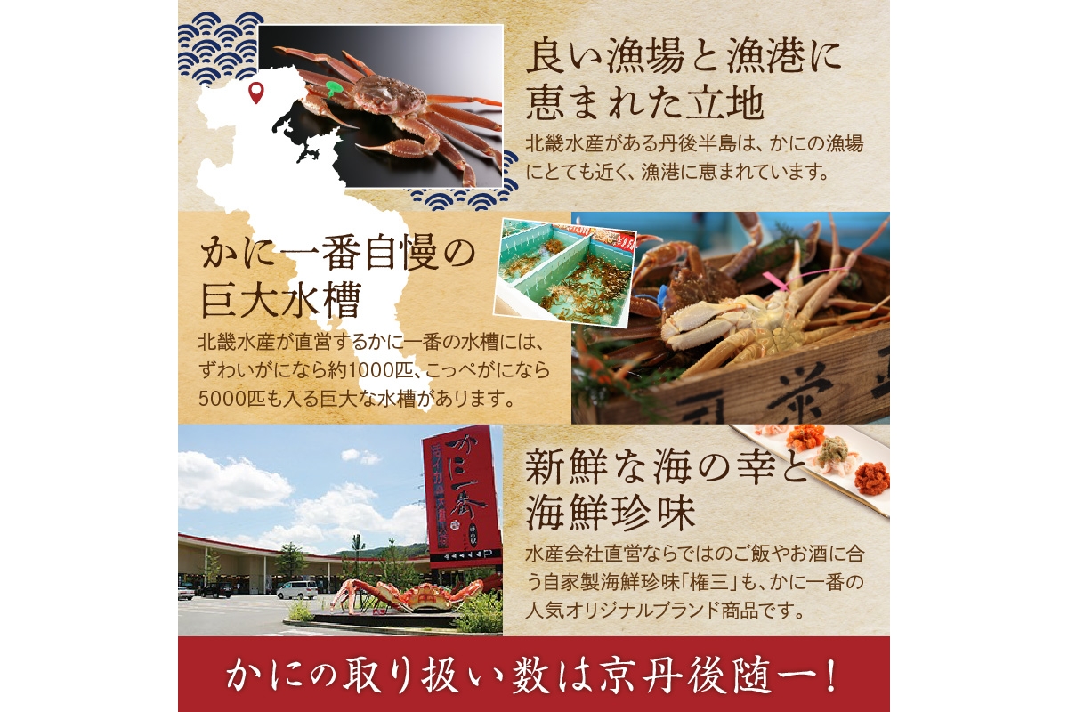 【訳あり！指落ち松葉がに】山陰沖ゆで松葉がに 1ｋｇ〜1.1ｋｇ 超特大サイズ（11月発送）／北畿水産