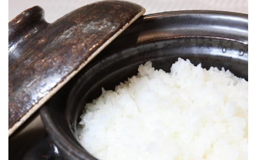 2026年産 丹後弥栄産コシヒカリ（玄米5kg） ふるさと納税 お米 米 玄米 コシヒカリ 農家直送 丹後こしひかり ふるさと納税 玄米