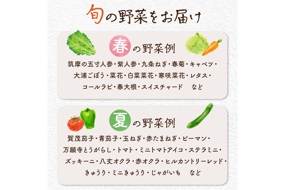 【数量限定】自然栽培野菜セット（団らん）