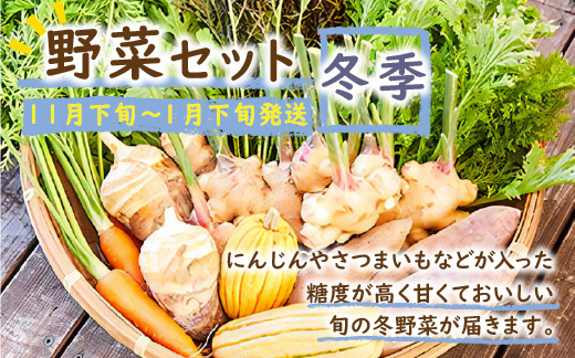 SORA農園有機野菜セット年2回（夏季・冬季）お届け 12種類前後 オーガニック野菜 詰め合わせ 栽培期間中農薬不使用 ふるさと納税 オーガニック ふるさと納税 有機野菜
