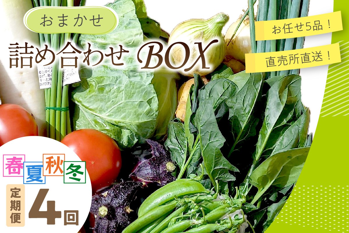 直売所直送 「京都・京丹後産 季節の野菜」お任せ詰め合わせBOX（5品） 春夏秋冬定期便4回 コシヒカリ精米 京野菜 季節 新鮮 ふるさと納税 野菜