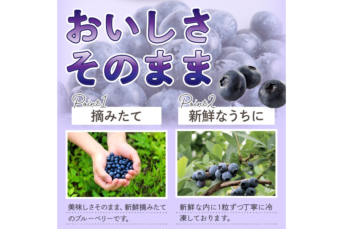 美味しさそのまま摘みたてをハイブリッド冷凍　京丹後産冷凍ブルーベリー1kg/北畿水産