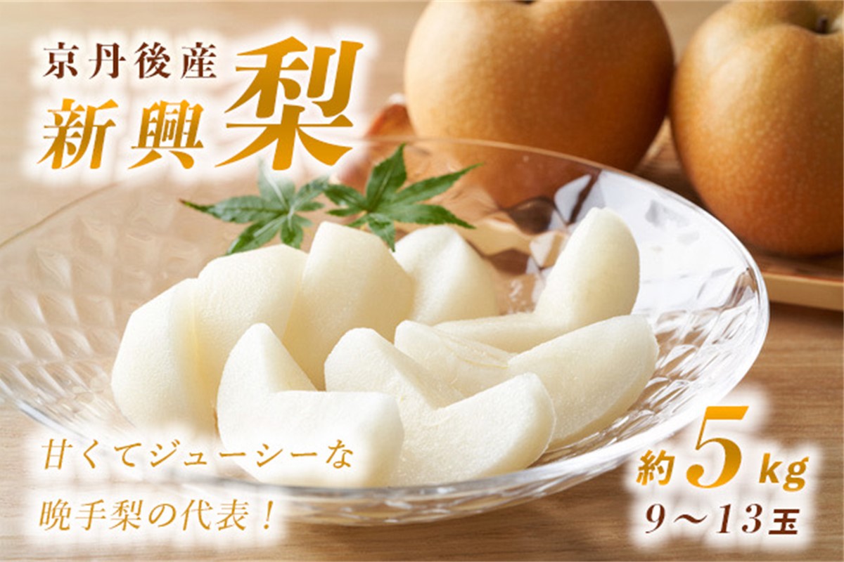 【先行予約】甘～ぃ！ジューシー！！晩生梨の代表 京丹後産 新興梨 5kg（9～13玉）（2026年9月下旬～発送）　国産 期間限定 デザート ふるさと 納税 梨 なし ナシ ふるさと 納税 先行予約 期間限定 ふるさと 納税 フルーツ くだもの 果物 赤梨