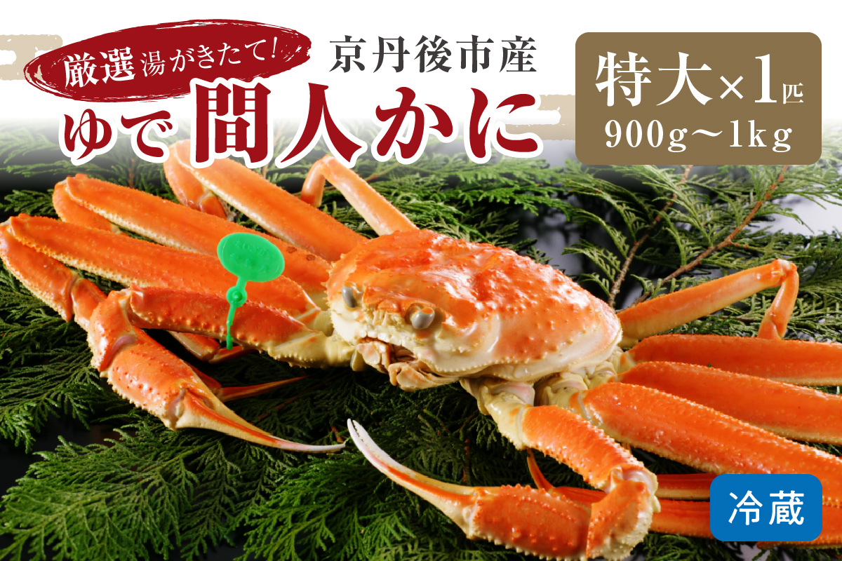 かに卸問屋がお届け・自社釜ゆで！幻のゆで間人ガニ 900ｇ～1ｋｇ 特大サイズ（1月～3月発送）／北畿水産