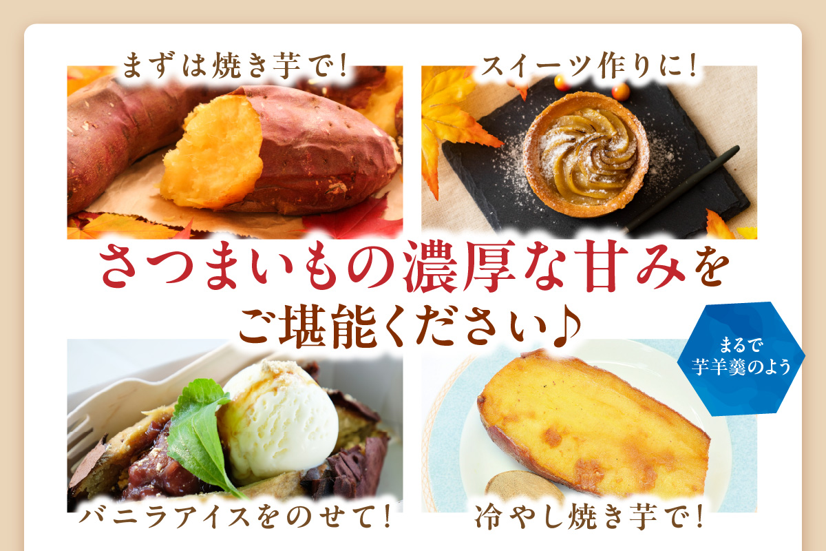 【先行予約】さつまいもオブザイヤー紅はるか部門全国1位 京都・ 丹後産　さつまいも 紅はるか　土付き（1本120〜450g程度）5kg　京都 丹後 ふるさと納税 さつまいも サツマイモ ふるさと納税 野菜 