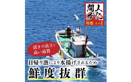 （訳あり）活間人がに 2匹 Aセット　11/10～11/21発送予定 平七水産　間人がに 間人ガニ 間人蟹 たいざがに たいざガニ