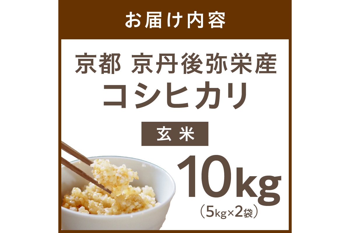 【先行予約】丹後弥栄産コシヒカリ（玄米10kg） コシヒカリ 玄米 おこめ おにぎり 京都産 お米 ふるさと納税 こしひかり