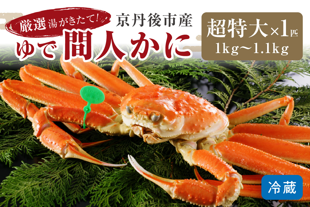 かに卸問屋がお届け・自社釜ゆで！幻のゆで間人ガニ 1ｋｇ～1.1ｋｇ超 特大サイズ（1月～3月発送）／北畿水産