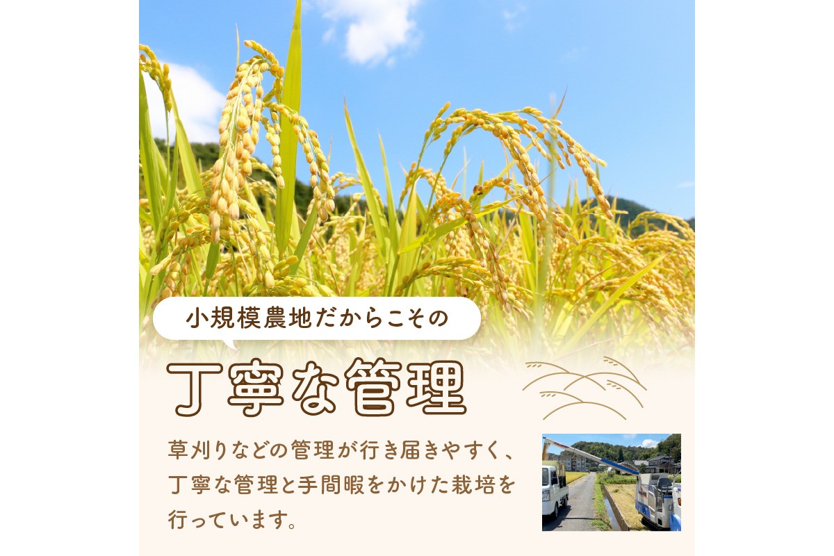 【先行予約】丹後弥栄産コシヒカリ（玄米10kg） コシヒカリ 玄米 おこめ おにぎり 京都産 お米 ふるさと納税 こしひかり