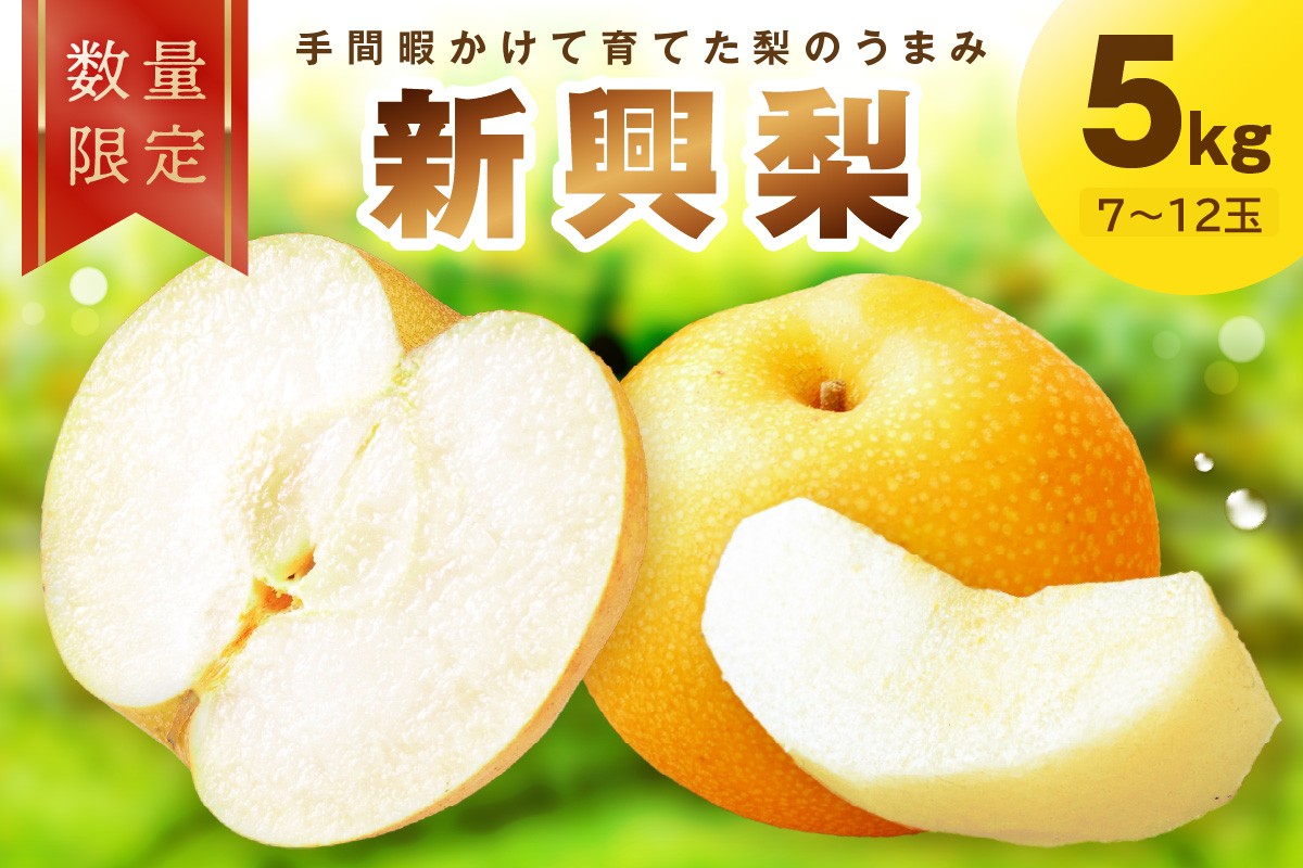 【先行予約／数量限定100】新興梨　5kg（2026年10月中旬～発送） 果物 フルーツ 梨 なし ジューシー 甘い 京丹後産