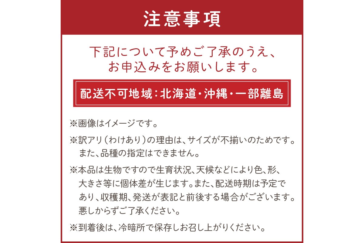 【先行予約】訳あり 宝石のような輝き！カラフルミニトマト 約1.5kg（秋冬）（2026年10月上旬～発送）