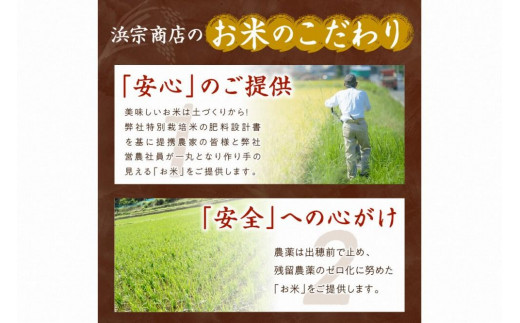 京都・丹後コシヒカリ 無洗米 3kg 米 お米 コシヒカリ ふるさと納税 無洗米 ふるさと納税 米 ふるさと納税 お米 ふるさと納税 コシヒカリ 農家応援 生産者応援 送料無料